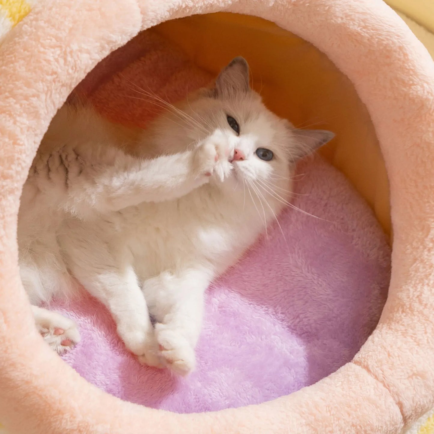 Creative Cat Soft Bed House Removable Plush Dog House Mat Pet Cats Four Seasons Cushion Basket Machine Washable Pet Accessories