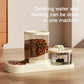 Cat Water Dispenser with Circulating Automatic Flow, Drinking Bowl, Feeding and Watering All-in-One 2-in-1 Pet Device
