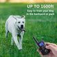 PaiPaitek No Shock Dog Training Collar with Remote, Lightest Vibration Collar for Small Dogs Rechargeable, 1600ft Range