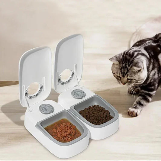 2 Meals Timed Automatic Dog Feeder Dual Bowls Smart Cat Food Dispenser Wet Dry Pet Food Dispenser Pet Feeder Cat Accessories