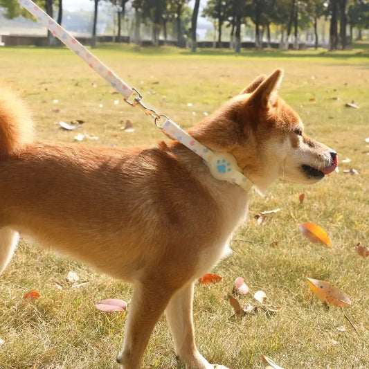 Nylon Pet Locator Collar Glow-in-The-Dark Adjustable Dog Cat Collar Anti-Lost Silicone Tracker Protective Cover for AirTag Pet